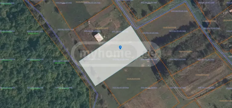 For Sale Sasoplo-Sameurneo Land Plot Tetritsqaroshi view 5