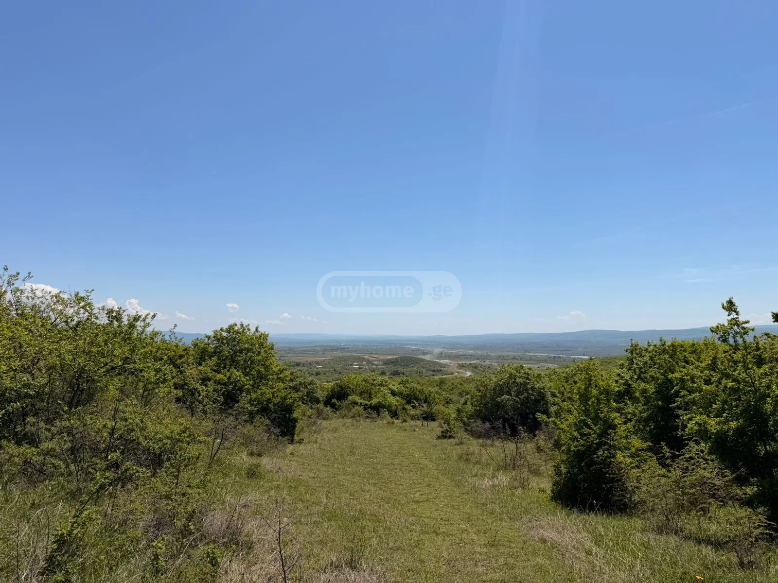 For Sale Sainvestitsio Land Plot Sagarejoshi view 12