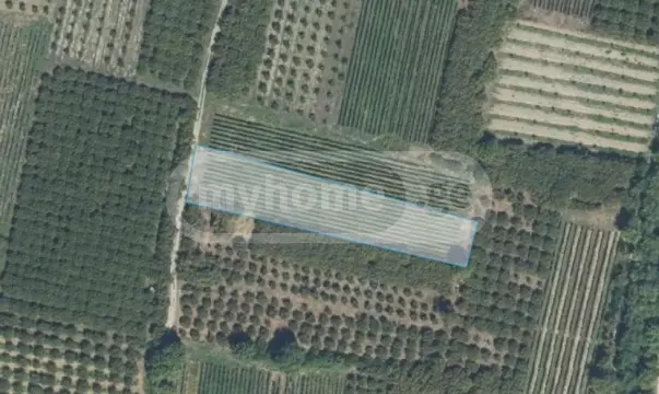 For Sale Sasoplo-Sameurneo Land Plot Qvarlis Munitsipalitetshi view 5