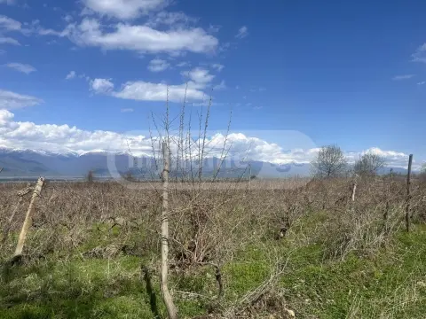 იყიდება მიწა / ნაკვეთი Telavis Munitsipalitetshiში view 5