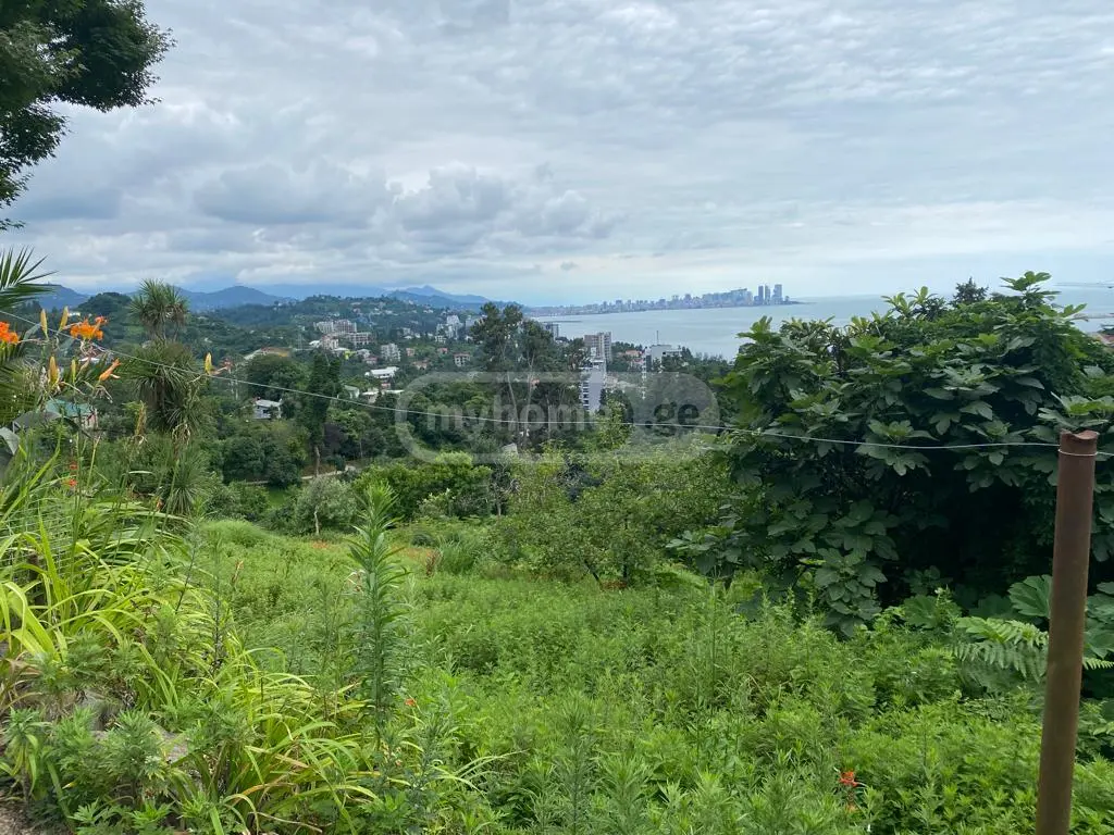 For Sale Sasoplo-Sameurneo Land Plot In Batumi view 11