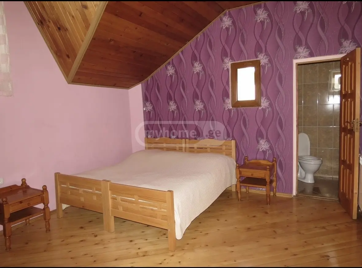 Daily Rent 3 Room Sastumro Bakurianshi, 10 of 12