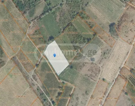 Продажа Земля / участок в Gurjaanis Munitsipalitetshi view 4
