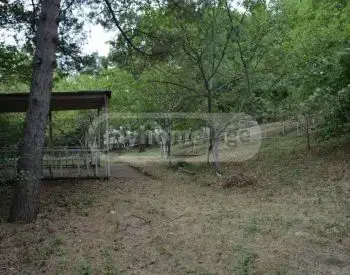 For Sale Mtliani Shenoba Commercial Space Kojorshi view 8