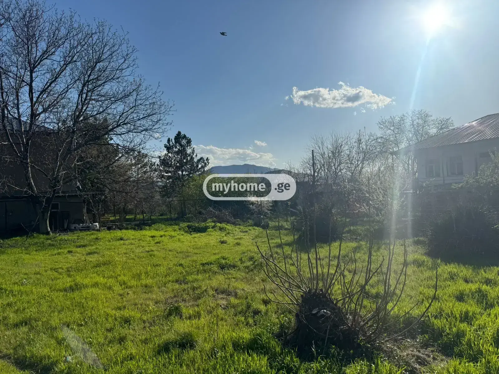 For Sale Sasoplo-Sameurneo Land Plot Mtskhetis Munitsipalitetshi view 3