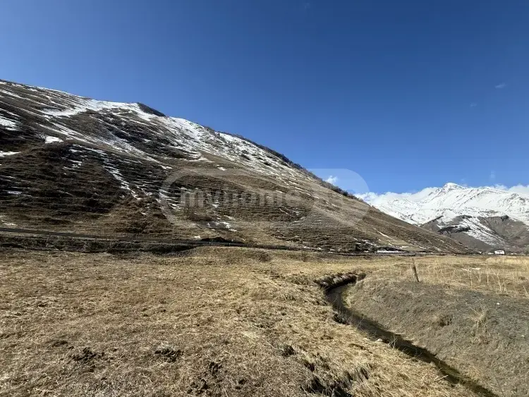 For Sale Sasoplo-Sameurneo Land Plot Qazbegshi view 2