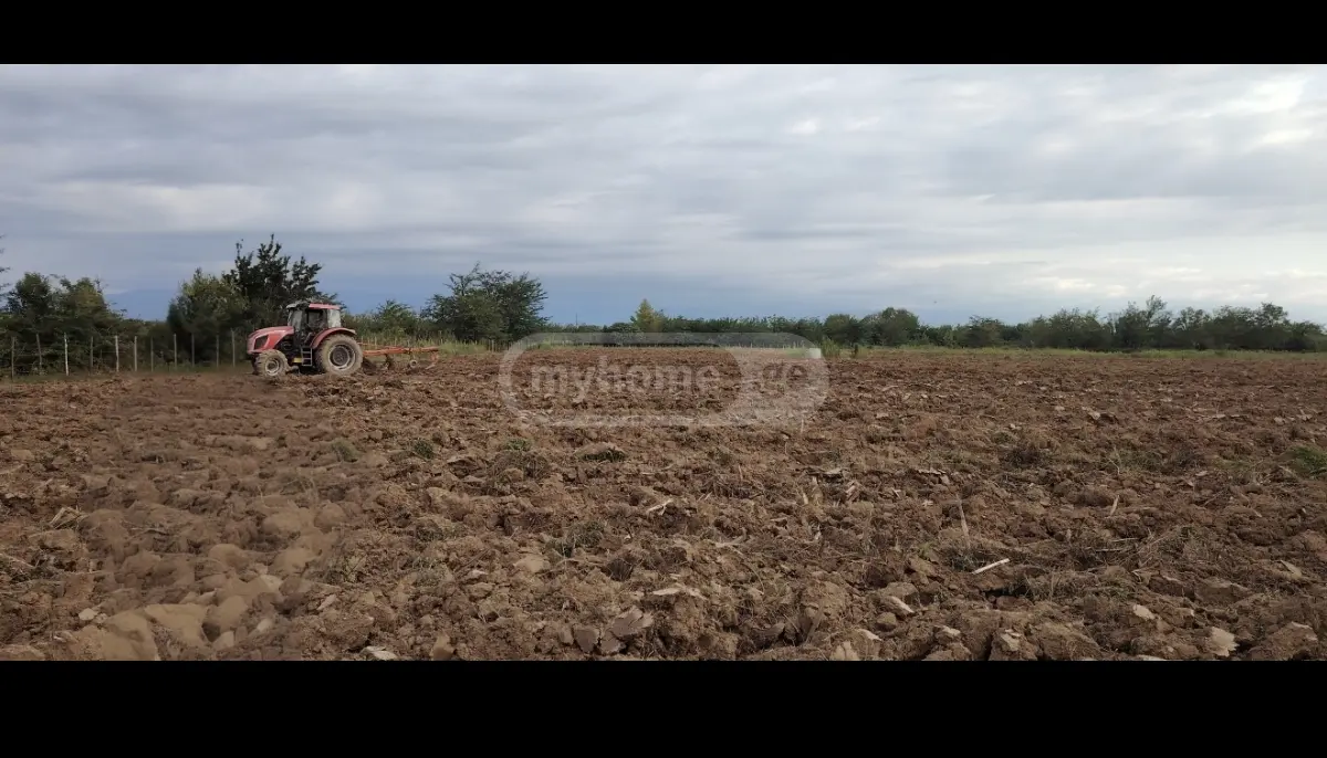 For Sale Sasoplo-Sameurneo Land Plot Tsqaltubos Munitsipalitetshi view 6