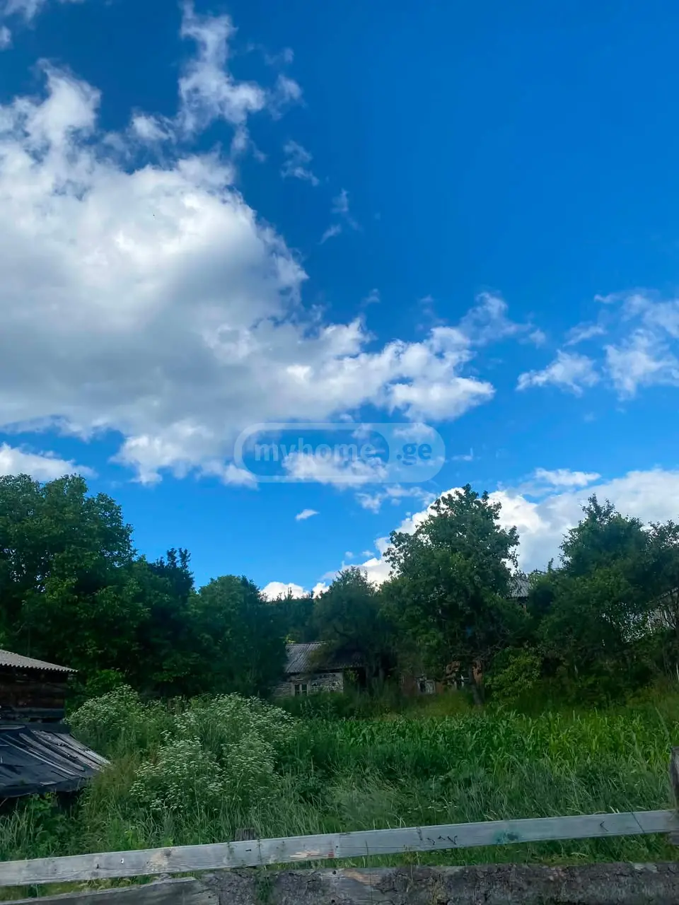 For Sale Sasoplo-Sameurneo Land Plot Abastumanshi view 1