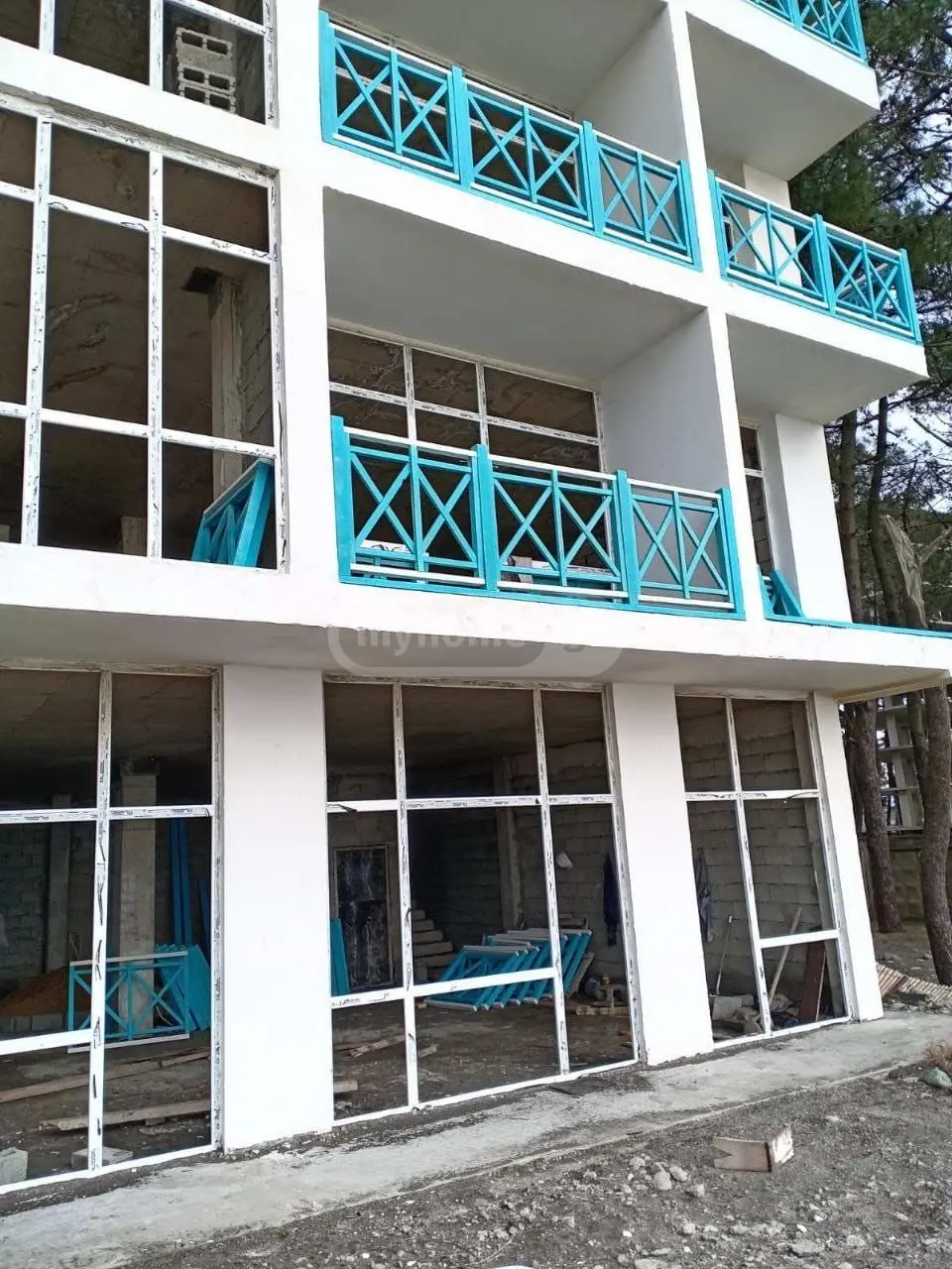 For Sale 10+ Room Private House Lanchkhutis Munitsipalitetshi view 10