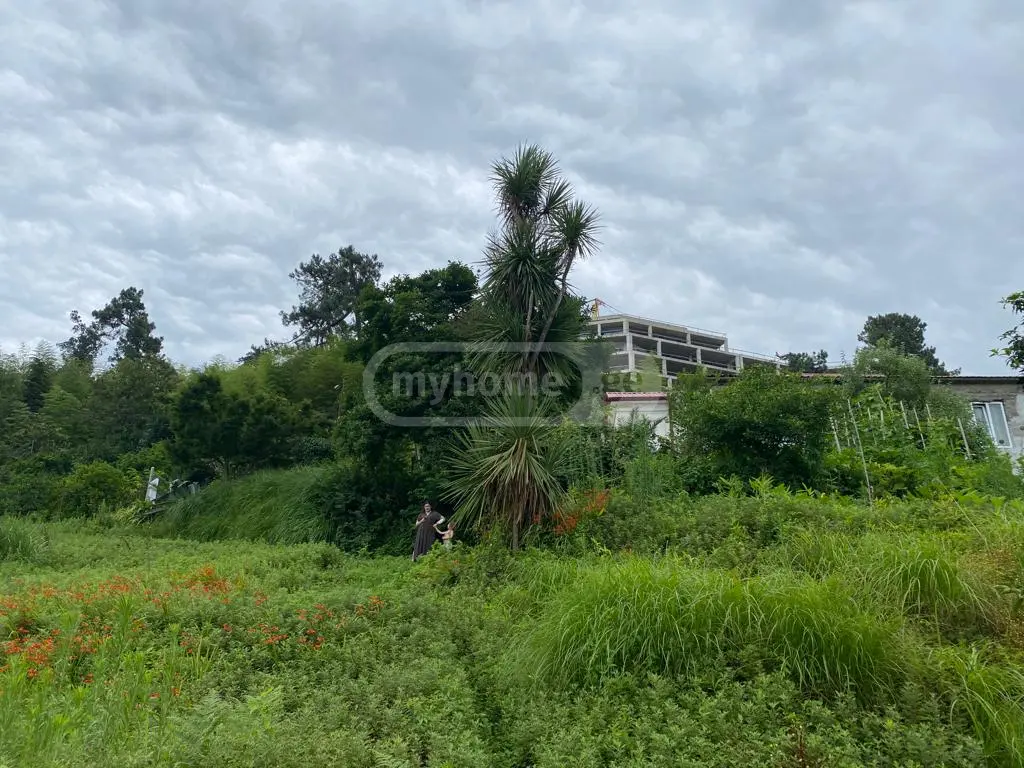 For Sale Sasoplo-Sameurneo Land Plot In Batumi view 5