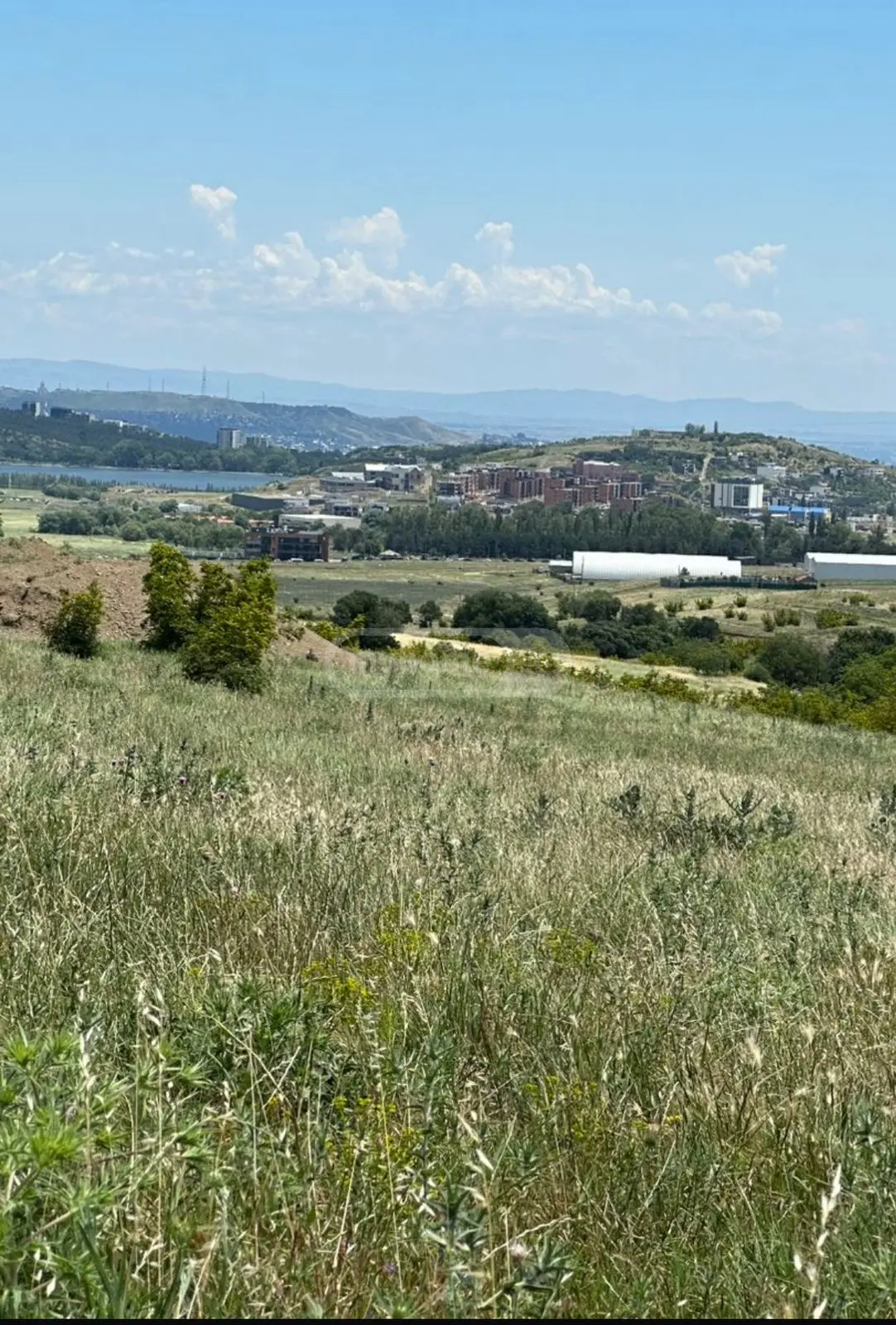 Land For Rent. Lisi Lake view 25
