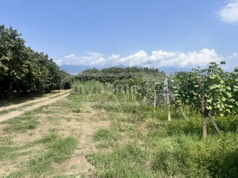 For Sale Sasoplo-Sameurneo Land Plot Qvarlis Munitsipalitetshi view 3
