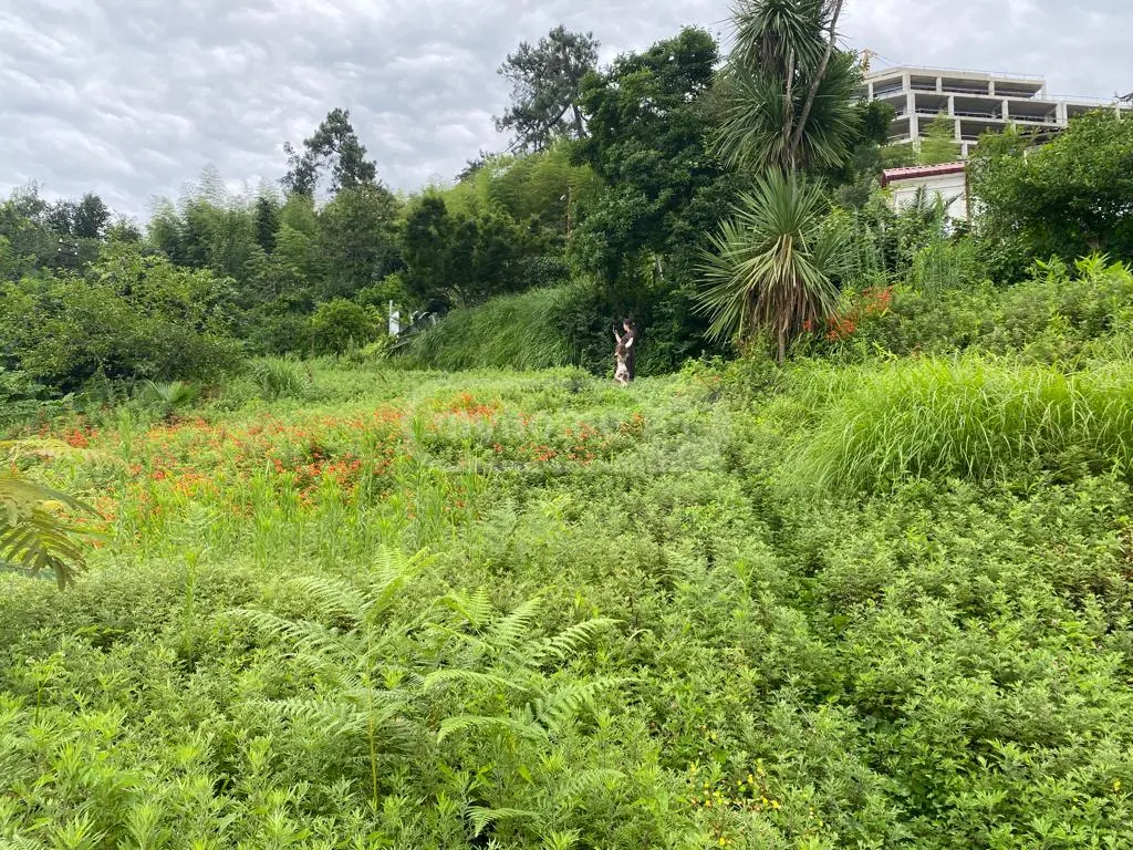 For Sale Sasoplo-Sameurneo Land Plot In Batumi view 8