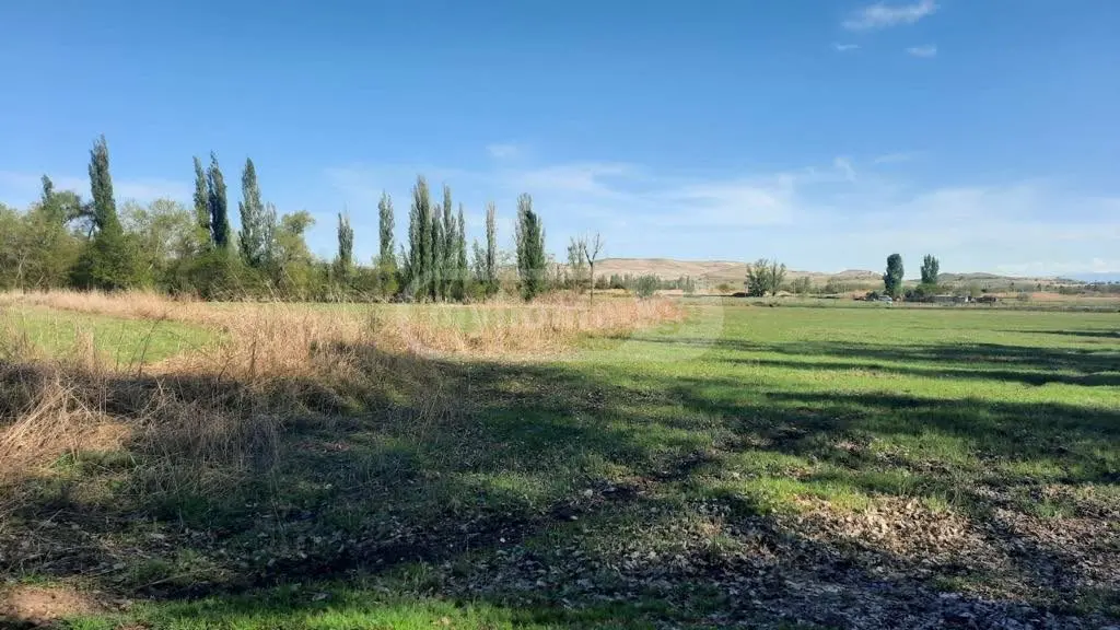 For Sale Sasoplo-Sameurneo Land Plot Gardabnis Munitsipalitetshi view 2