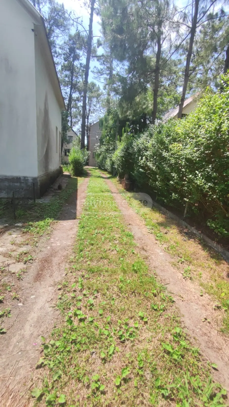Продажа Земля / участок в Lanchkhutis Munitsipalitetshi view 2