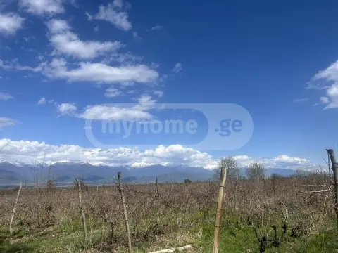 იყიდება მიწა / ნაკვეთი Telavis Munitsipalitetshiში view 1