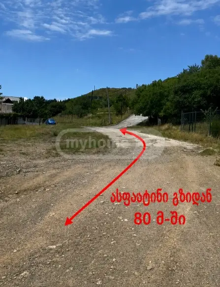 Land For Rent. Lisi Lake view 24