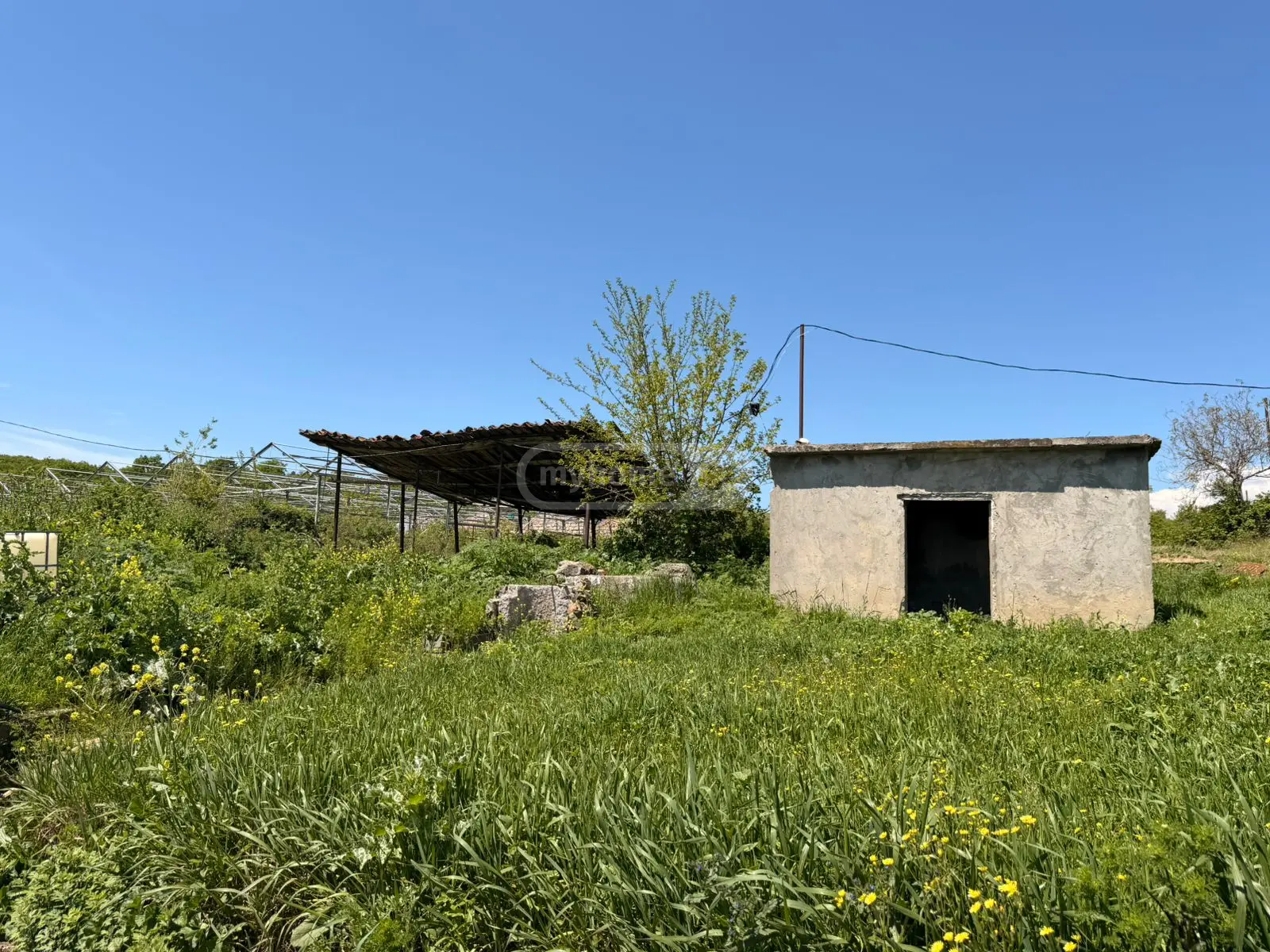 For Sale Sainvestitsio Land Plot Sagarejoshi view 11