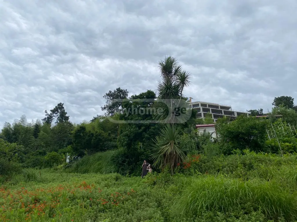 For Sale Sasoplo-Sameurneo Land Plot In Batumi view 6