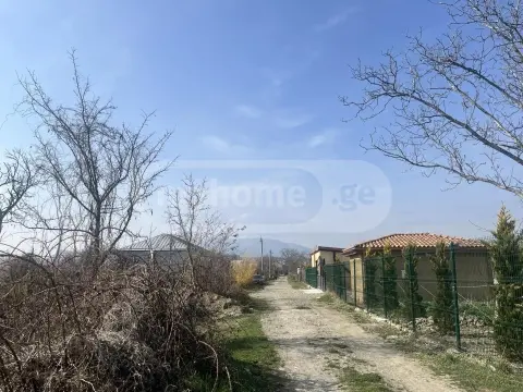 For Sale Sasoplo-Sameurneo Land Plot Sagarejos Munitsipalitetshi view 4