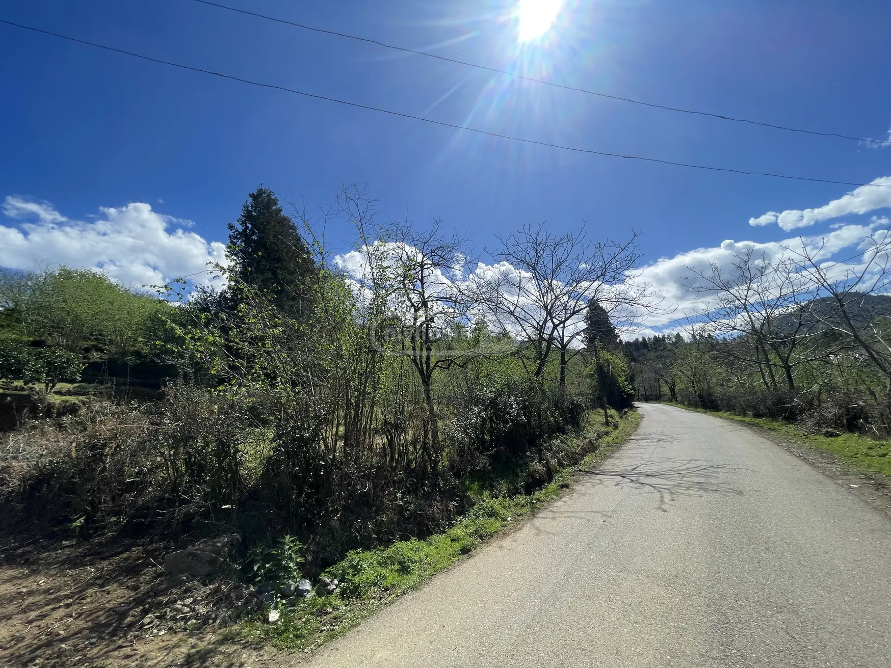 For Sale Sasoplo-Sameurneo Land Plot Kobuletis Munitsipalitetshi view 2