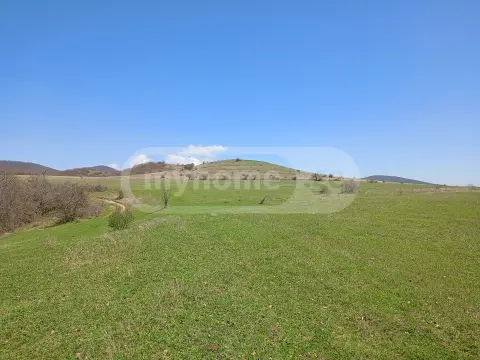 For Sale Sasoplo-Sameurneo Land Plot Sagarejos Munitsipalitetshi view 3