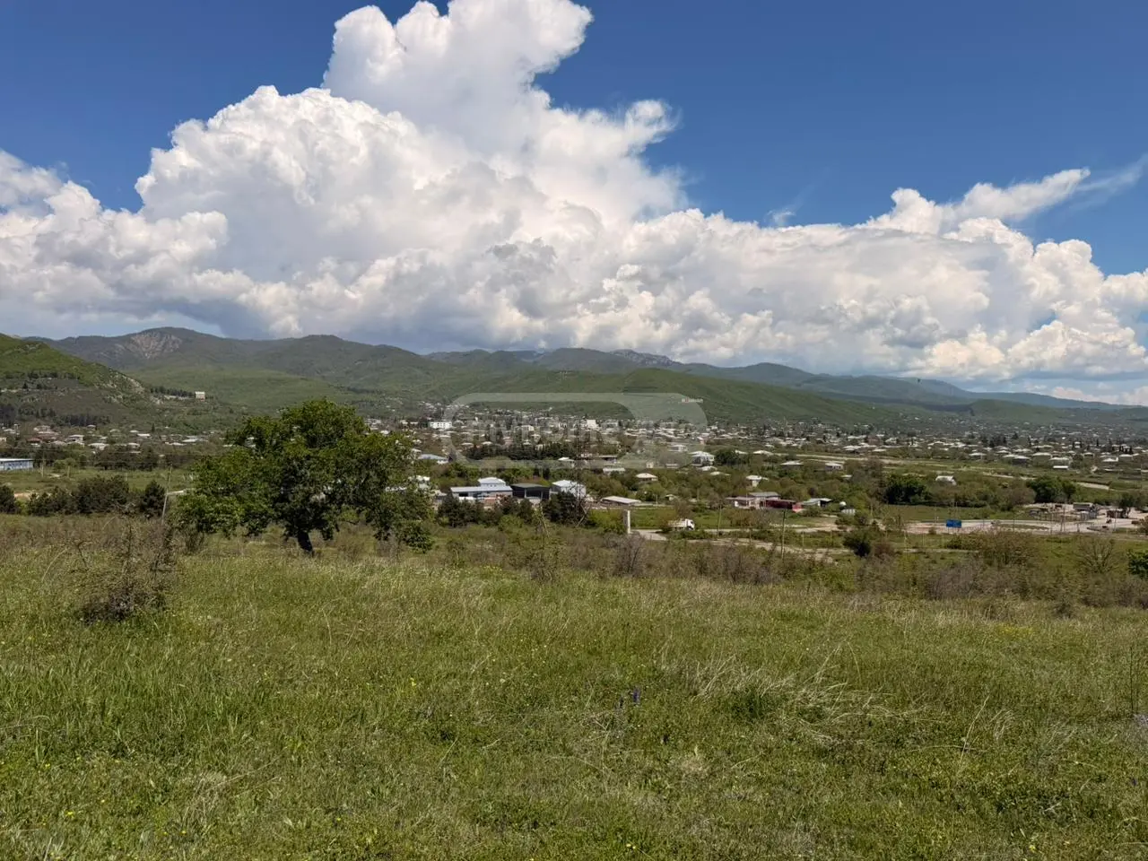 For Sale Sainvestitsio Land Plot Sagarejoshi view 14