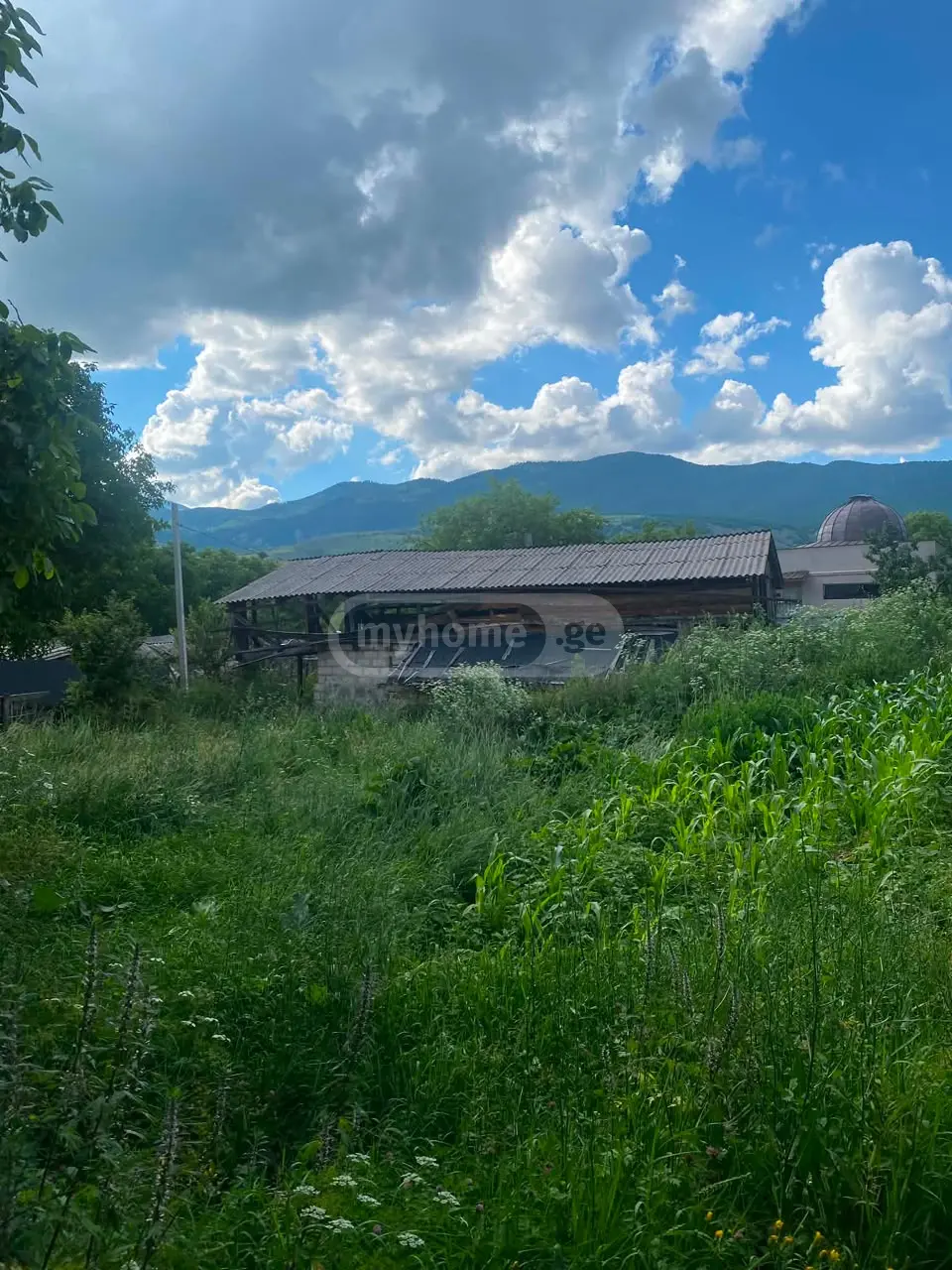 For Sale Sasoplo-Sameurneo Land Plot Abastumanshi view 4