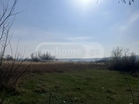 For Sale Sasoplo-Sameurneo Land Plot Sagarejos Munitsipalitetshi view 3