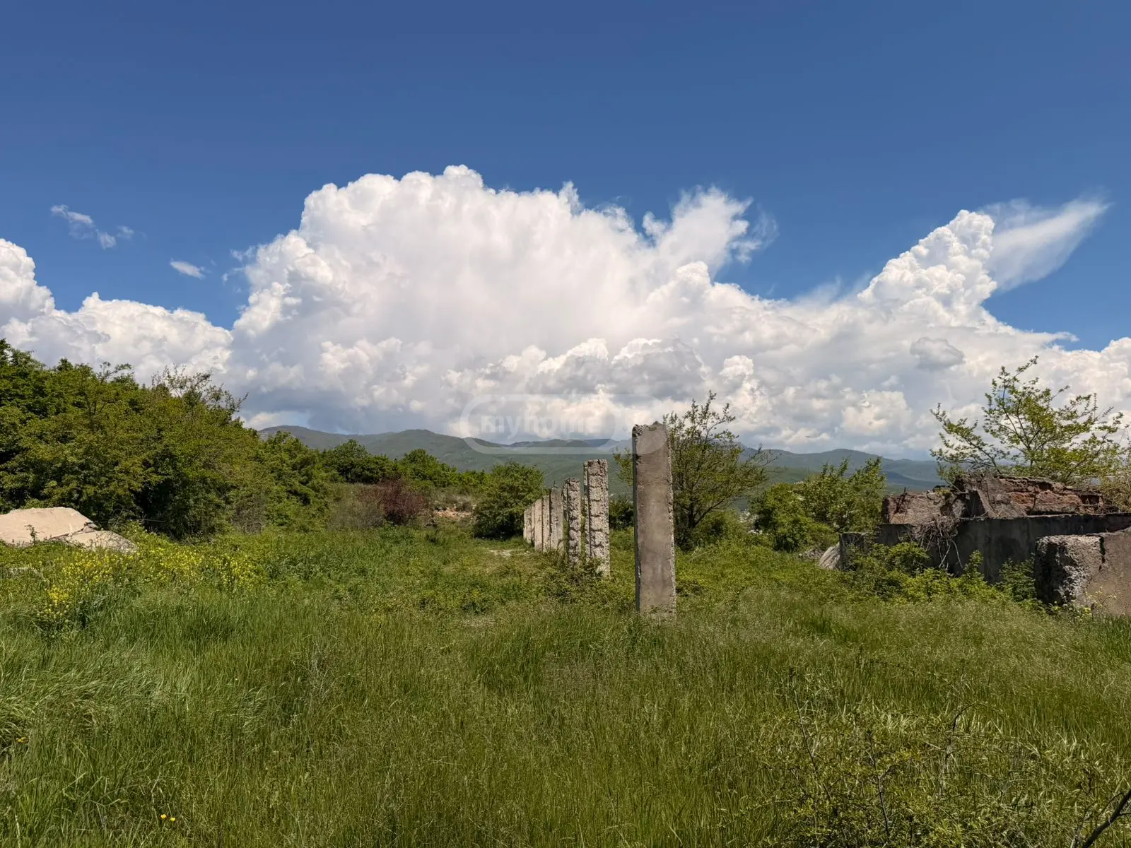 For Sale Sainvestitsio Land Plot Sagarejoshi view 10