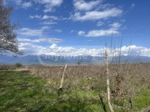 იყიდება მიწა / ნაკვეთი Telavis Munitsipalitetshiში view 2