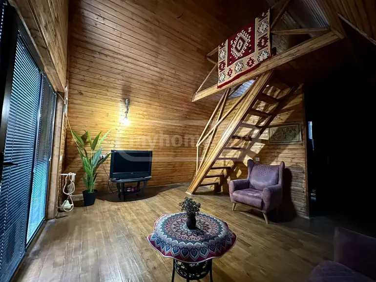 For Sale 3 Room Country House Zemo Lisze view 7