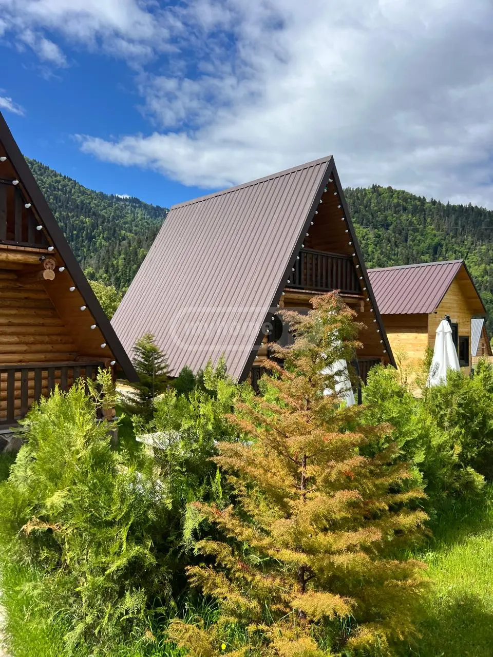 For Sale 8 Room Sastumro Borjomshi view 5