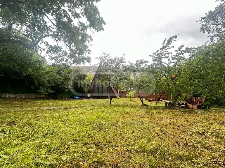 For Sale 3 Room Country House Zemo Lisze view 3