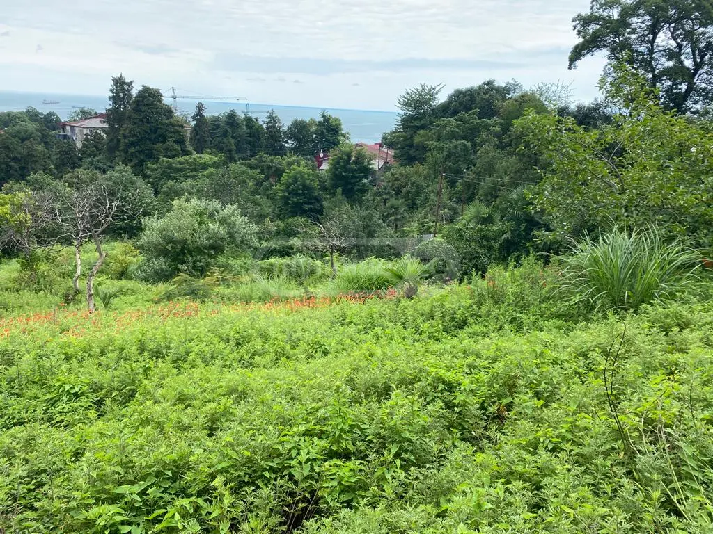 For Sale Sasoplo-Sameurneo Land Plot In Batumi view 2