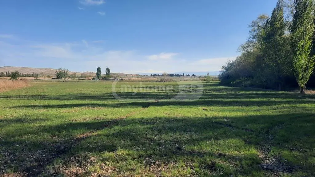 For Sale Sasoplo-Sameurneo Land Plot Gardabnis Munitsipalitetshi view 1