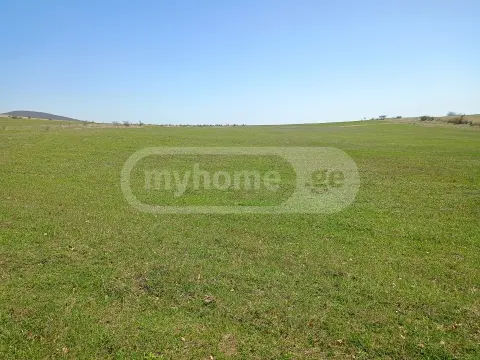 For Sale Sasoplo-Sameurneo Land Plot Sagarejos Munitsipalitetshi view 2