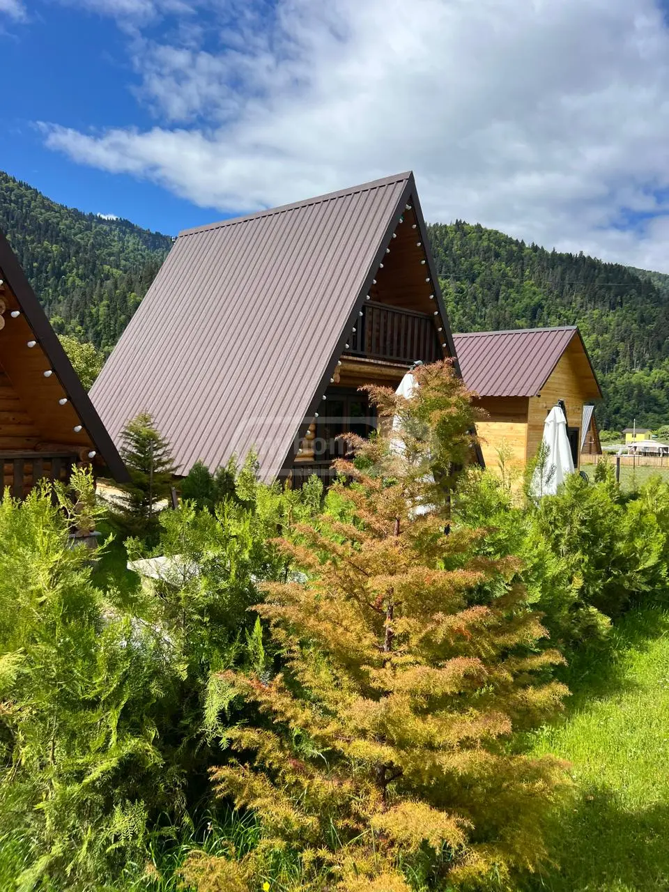 For Sale 8 Room Sastumro Borjomshi view 4