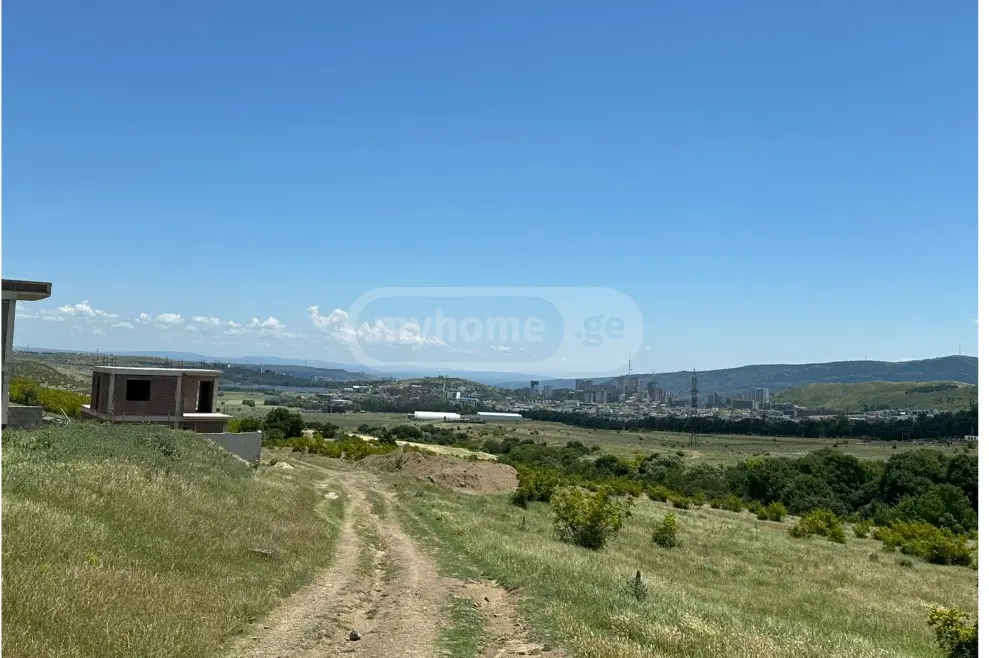 Land For Rent. Lisi Lake view 21