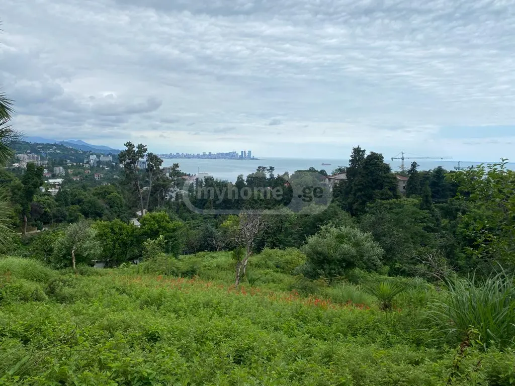 For Sale Sasoplo-Sameurneo Land Plot In Batumi view 3