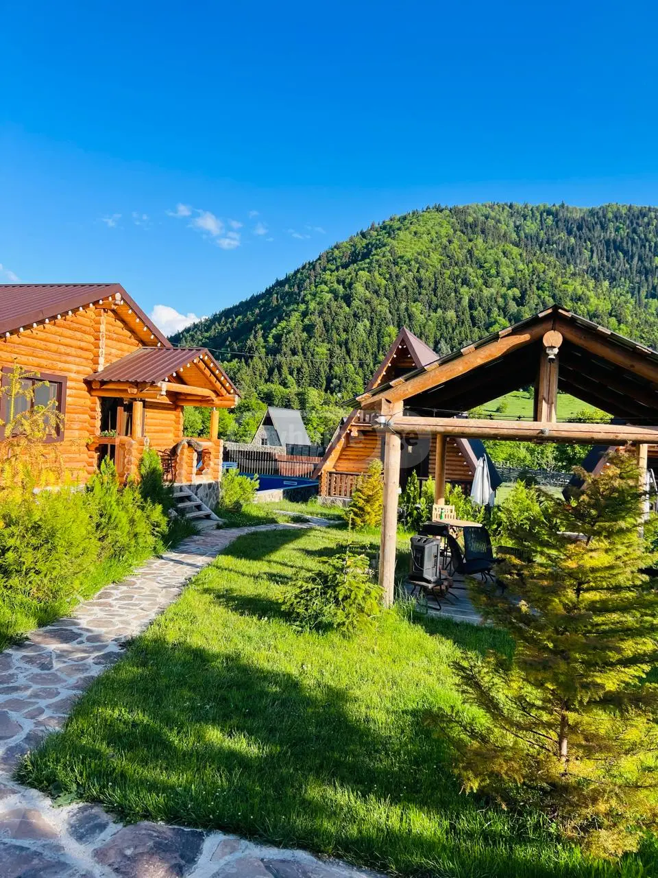 For Sale 8 Room Sastumro Borjomshi view 6