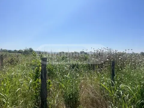 Продажа Земля / участок в Sagarejos Munitsipalitetshi view 3