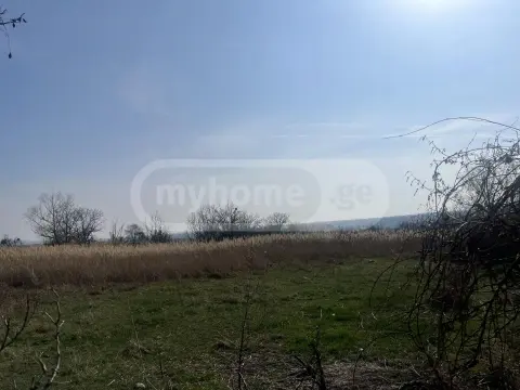For Sale Sasoplo-Sameurneo Land Plot Sagarejos Munitsipalitetshi view 1