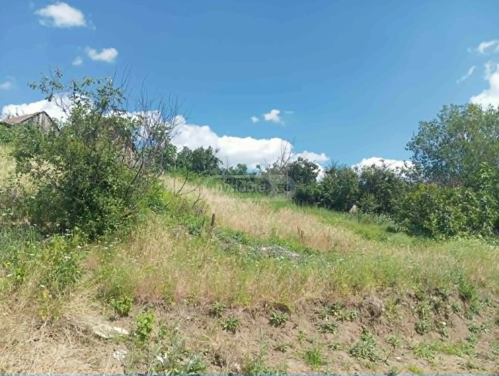 For Sale Sasoplo-Sameurneo Land Plot Mukhianshi, 3 of 5