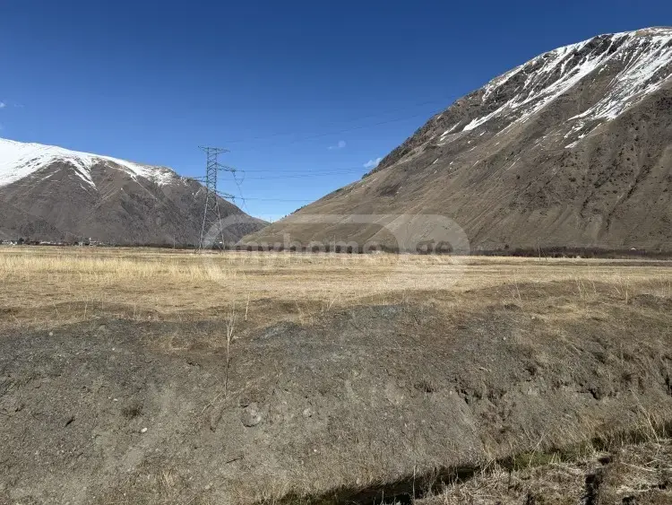 For Sale Sasoplo-Sameurneo Land Plot Qazbegshi view 3