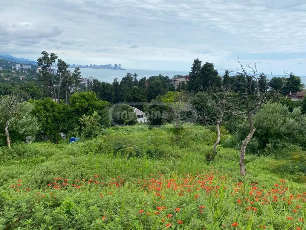 For Sale Sasoplo-Sameurneo Land Plot In Batumi view 10