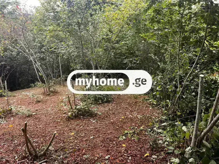 For Sale Sasoplo-Sameurneo Land Plot Kobuletis Munitsipalitetshi view 3
