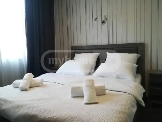 Daily Rent 4 Room Apartment Borjomshi view 3