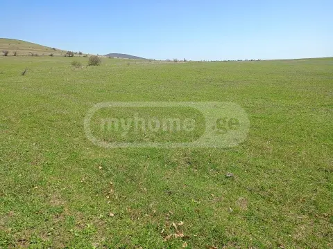 For Sale Sasoplo-Sameurneo Land Plot Sagarejos Munitsipalitetshi view 1