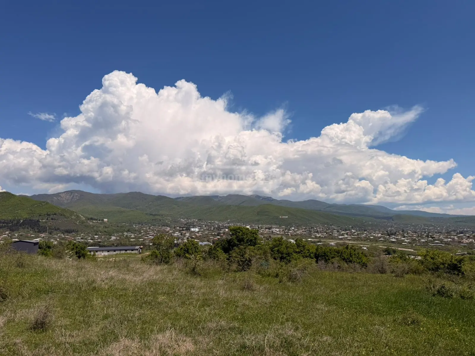For Sale Sainvestitsio Land Plot Sagarejoshi view 15